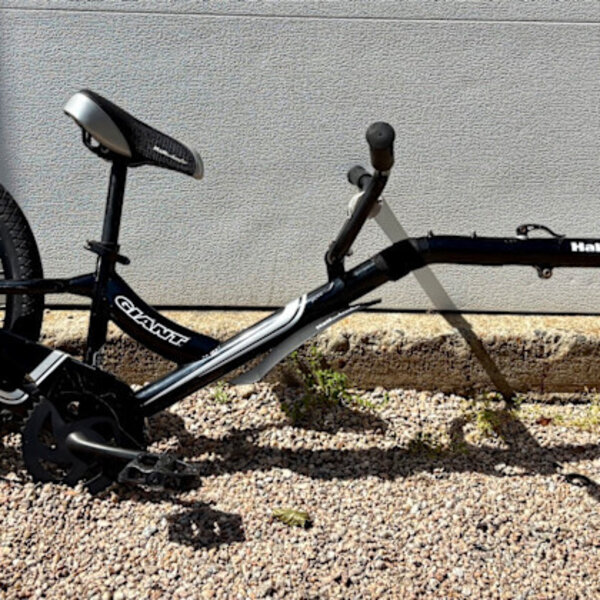 Giant Half Wheeler 20" Blk USED