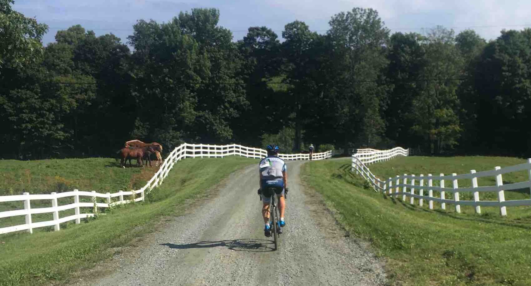 Stedman's Bike Shop Wakefield, RI