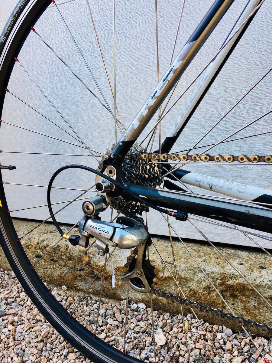 Trek Alpha 1.5 Blk/Wht 50cm USED - Stedman's Bike Shop