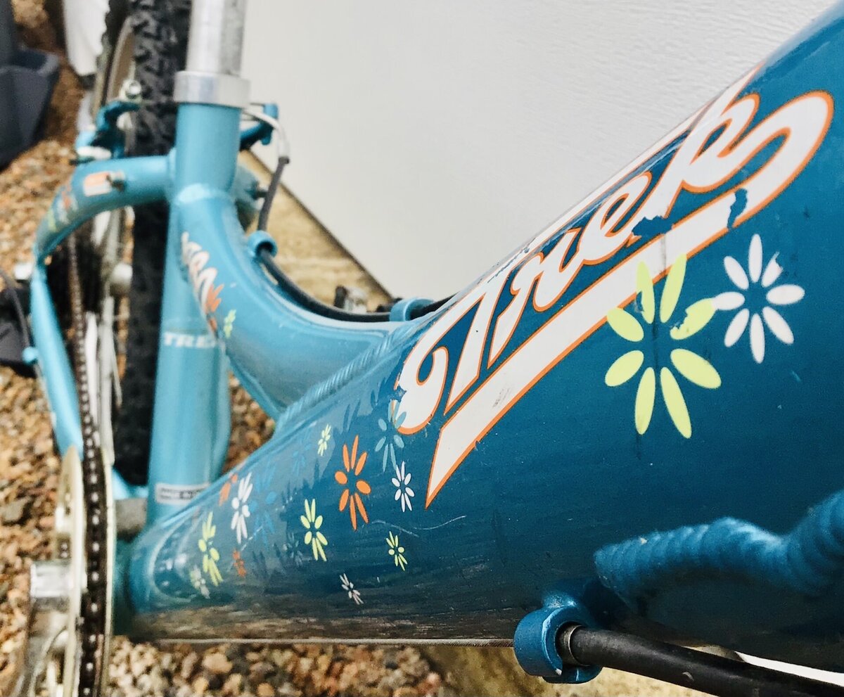 Trek MT60 20'' Light Blue USED - Stedman's Bike Shop