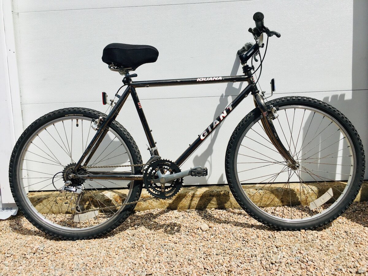 Giant Iguana Brown 19"/L USED Stedman's Bike Shop