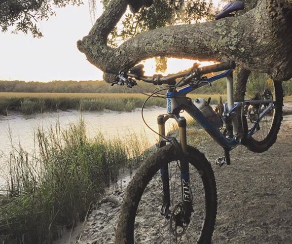mountain bike hanging from a tree by its saddle