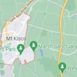 area map of mt. kisco