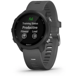 Garmin Garmin Forerunner 245 Smartwatch Black/Slate