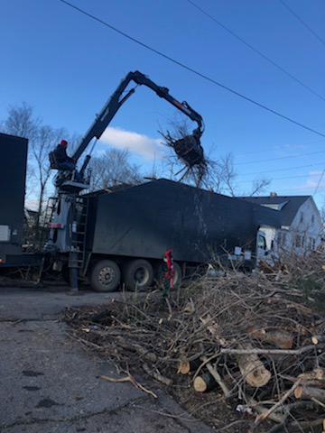 Big pile of branches being loaded into a truck