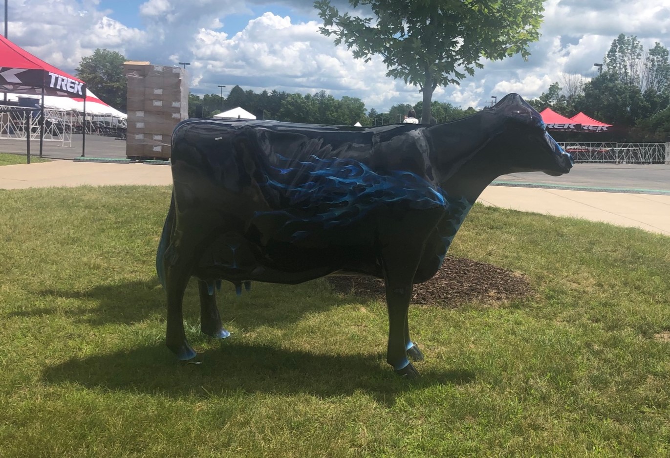 Black cow with blue flames