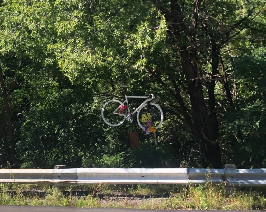 Bicycle in tree