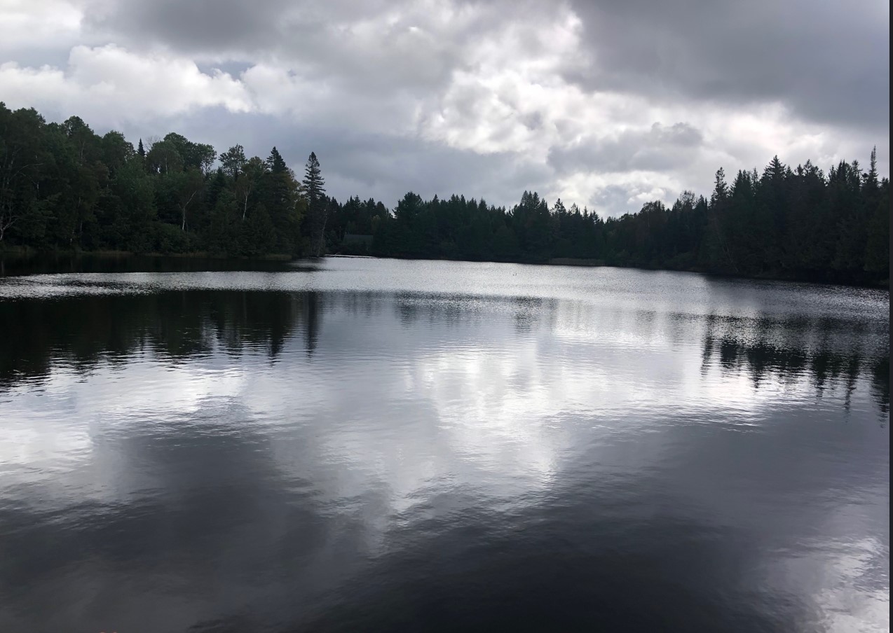 Calm lake with clouds and trees reflecting
