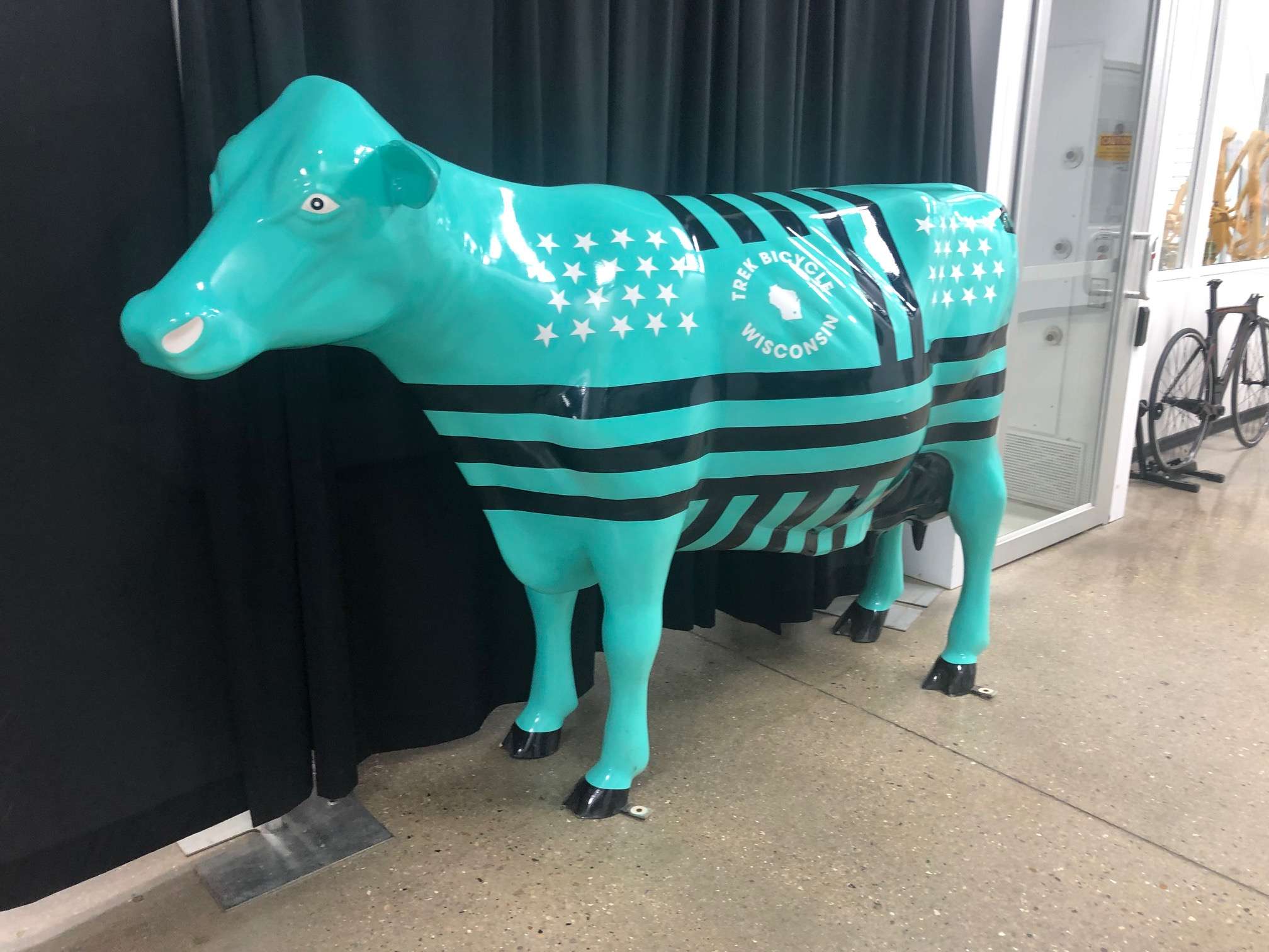 Bright teal cow with black stripes and white stars