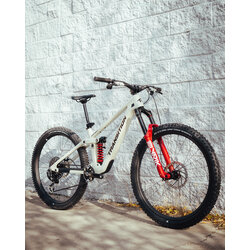 Project Bike Custom Project Bike Custom - Transition Sentinel XX