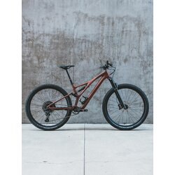 Project Bike Custom PB Custom Specialized Stumpjumper Carbon