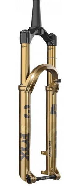 FOX Fox 34 Factory Grip X Podium Gold - Ascent Cycle | For Those