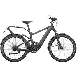 Riese & Müller Delite Rohloff Perf. Speed Grey 47cm 625wh Nyon