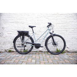 Gazelle Bikes Medeo T9 City Light Olive 50cm (Low Step) -Seacoast Certified