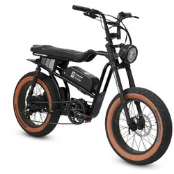 Golden Cycles Panthro