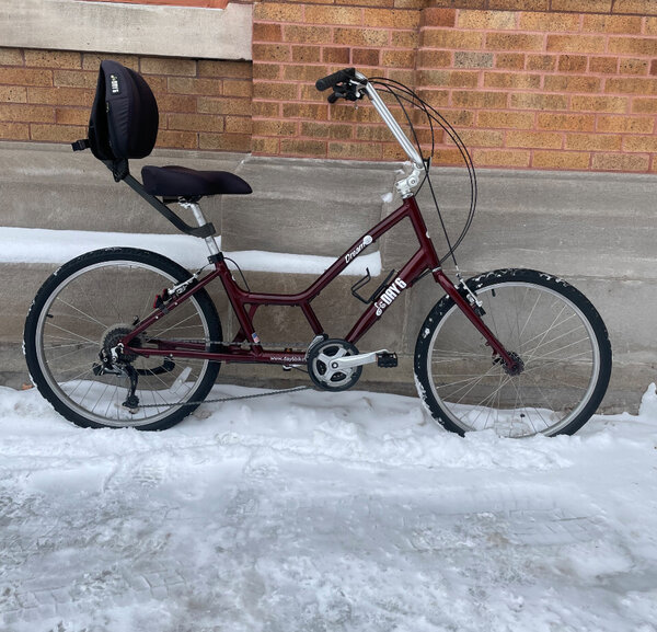 Day 6 Bicycles Dream 24 (USED)