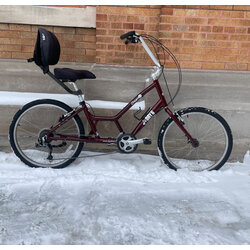 Day 6 Bicycles Dream 24 (USED)