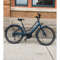 Bikes - Motorless Motion Bicycles | Madison