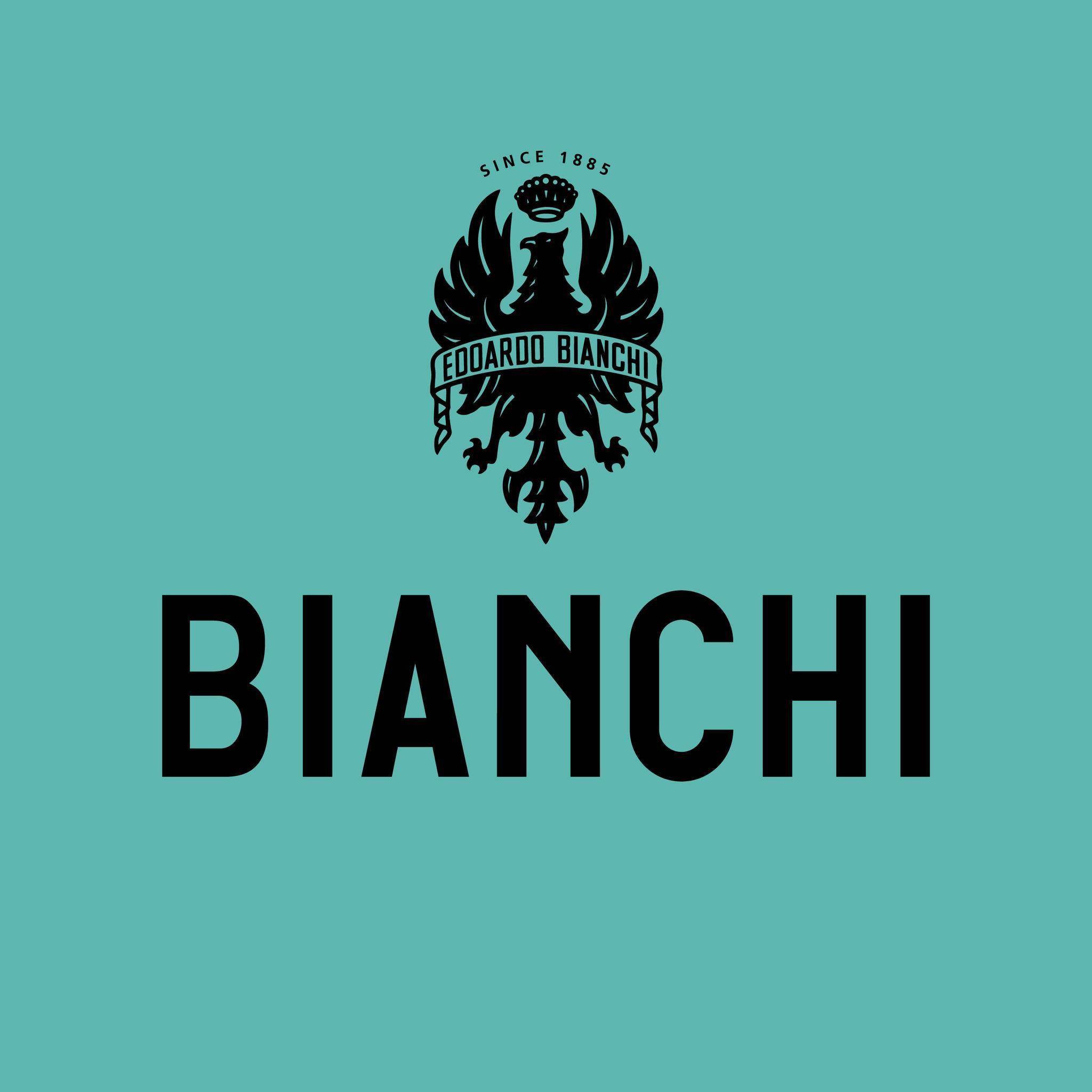 Bianchi logo - link to catalog