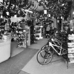 Bike Shop Sales Floor