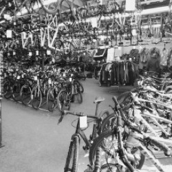 Bikes inside shop