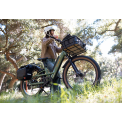 Rad Power Bikes Radster Trail Electric Off-Road-Green Small