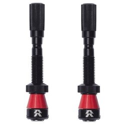 Reserve Wheels Fillmore Tubeless Valve