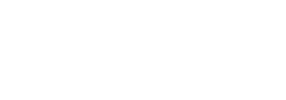 Rambo Electric Bikes