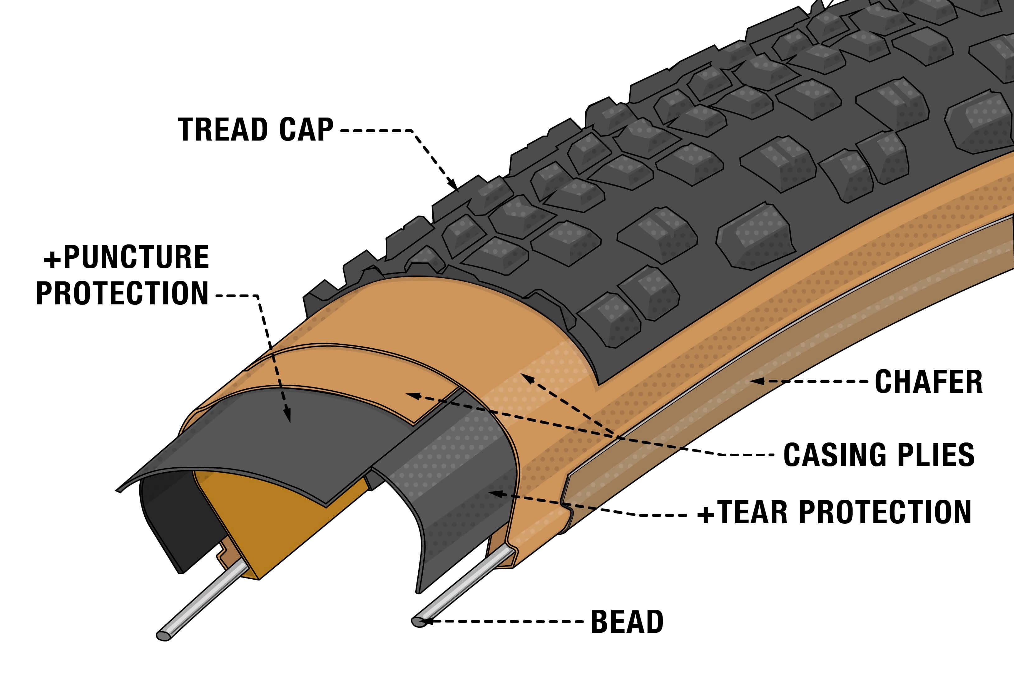 An illustrated cross section of Teravail bike tire showing the elements of a tire with a Durable bead-to-bead tread.