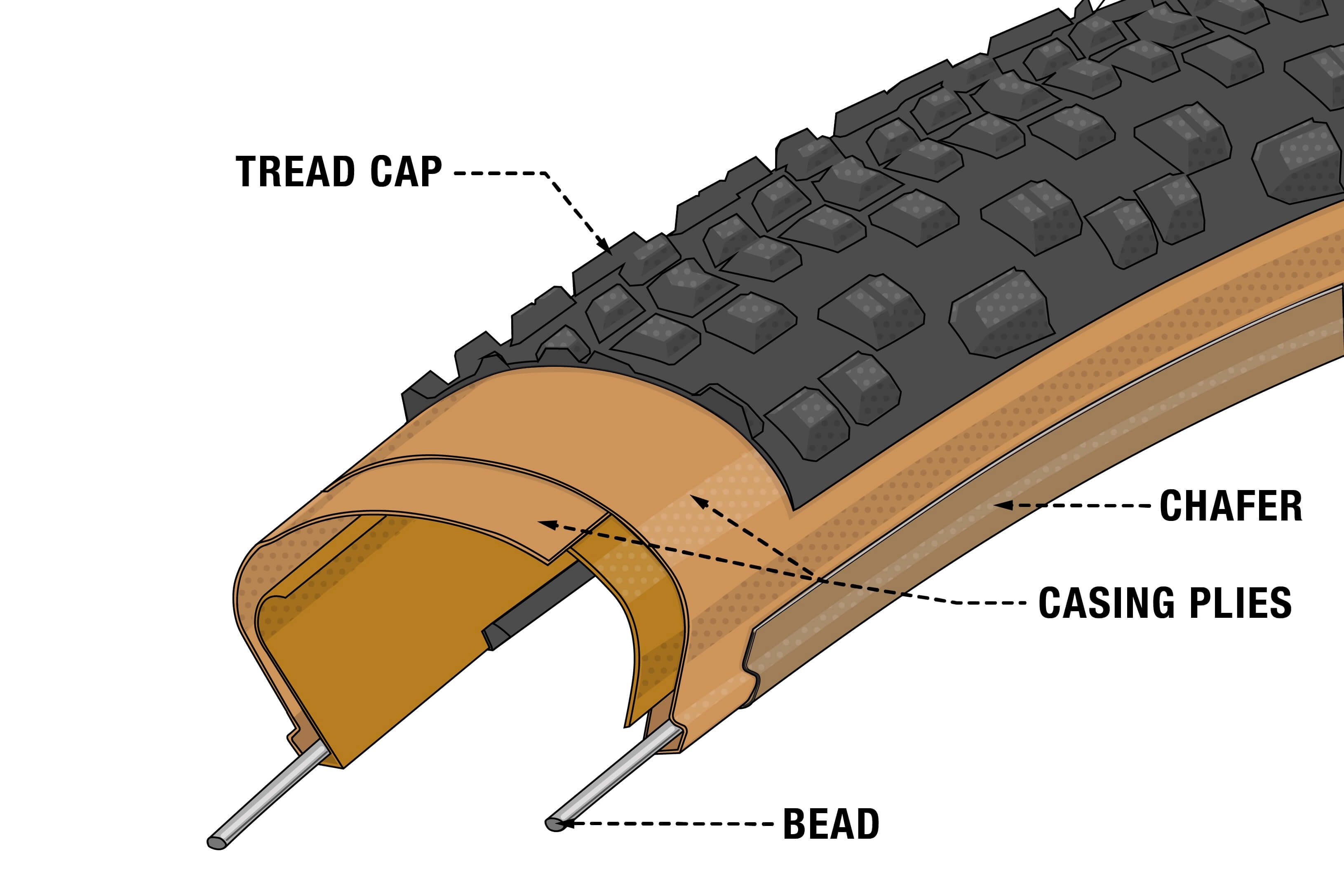 An illustrated cross section of Teravail bike tire showing the elements of a tire with a Light and Supple tread.