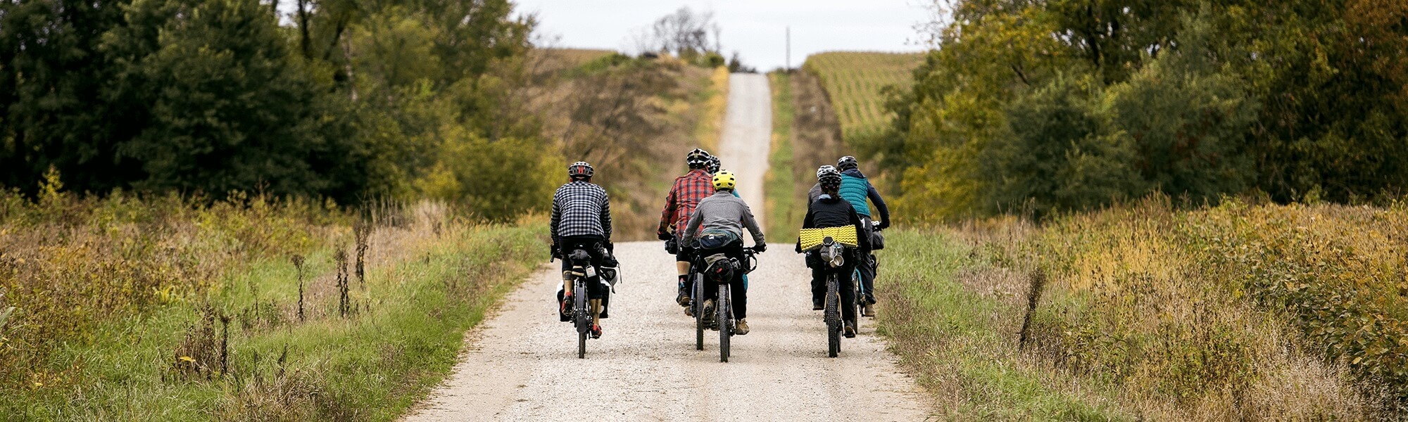 A group of bikepacking cyclists shown from behind ride together on a hilly gravel road.