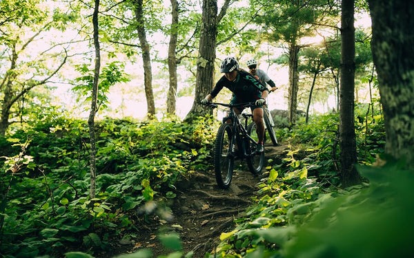 Two riders on mountain bikes riding on a trail in a forest