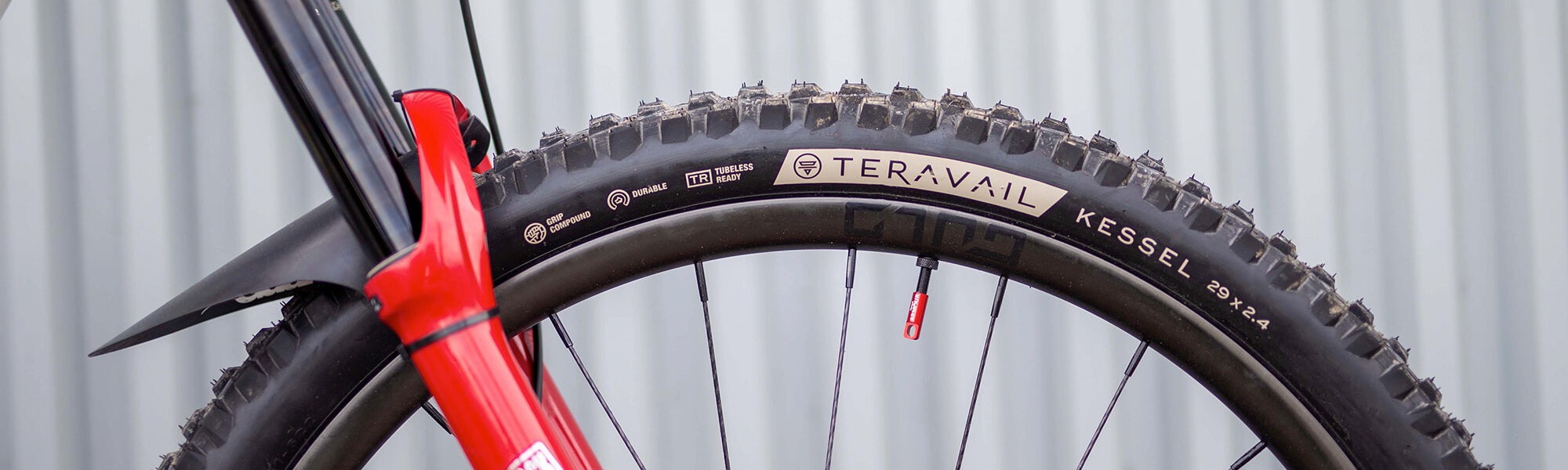 Closeup view of the front end of a bike with a Teravail tire mounted between the fork.