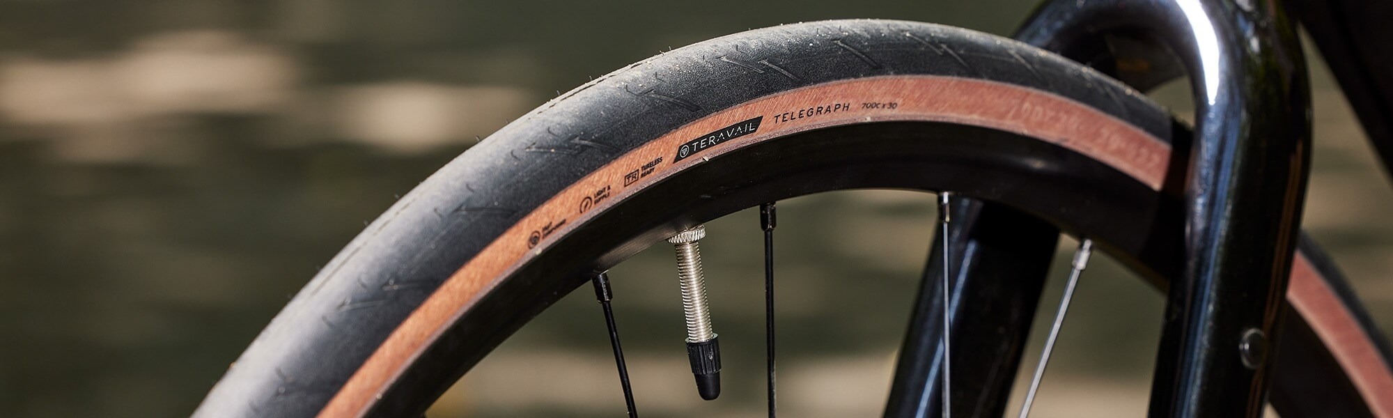 Closeup of a bike's front wheel and tire. The Teravail Telegraph tire hotpatch and sidewall are visible.
