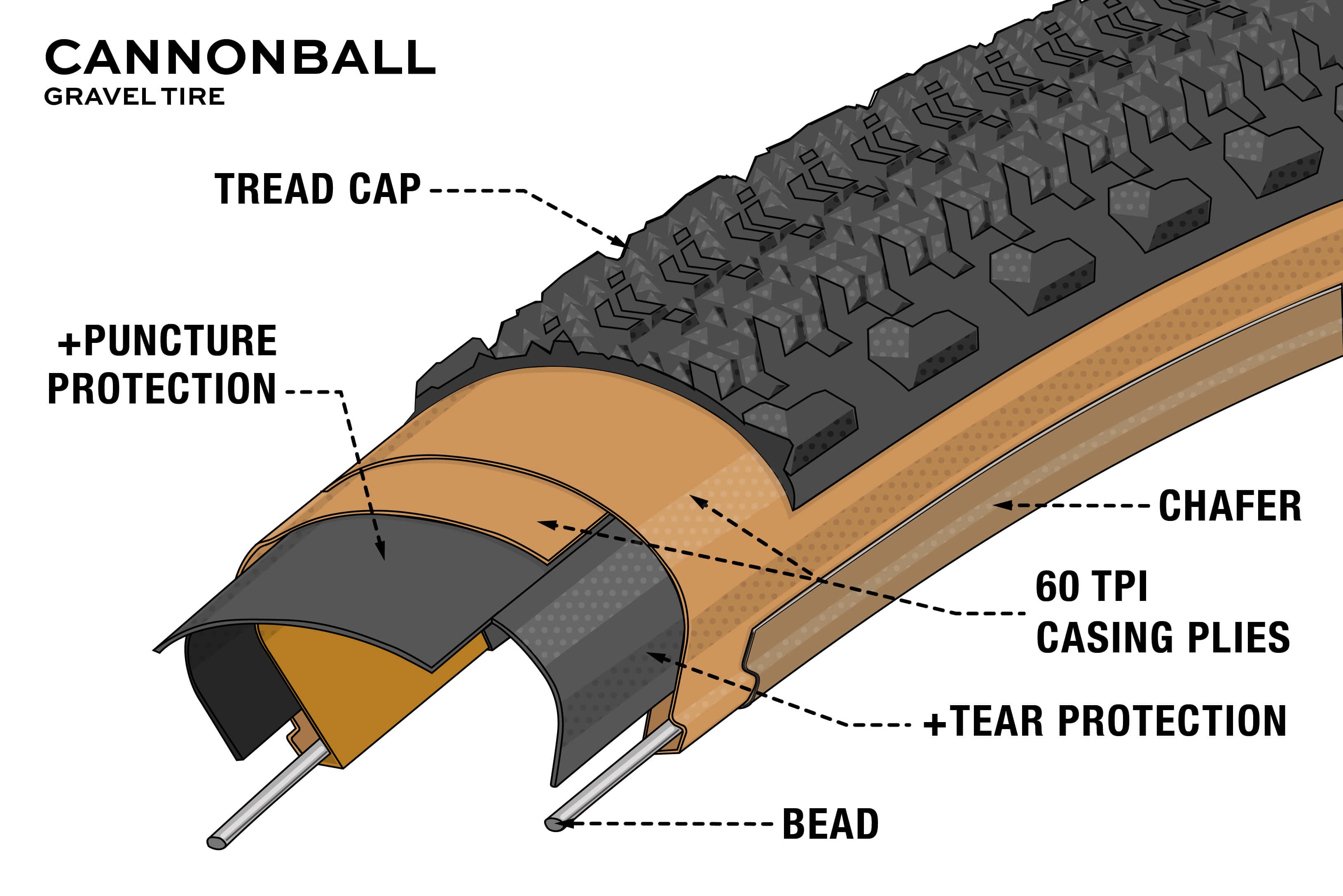 Cross section diagram that shows the tire casing of the Teravail Cannonball tire.