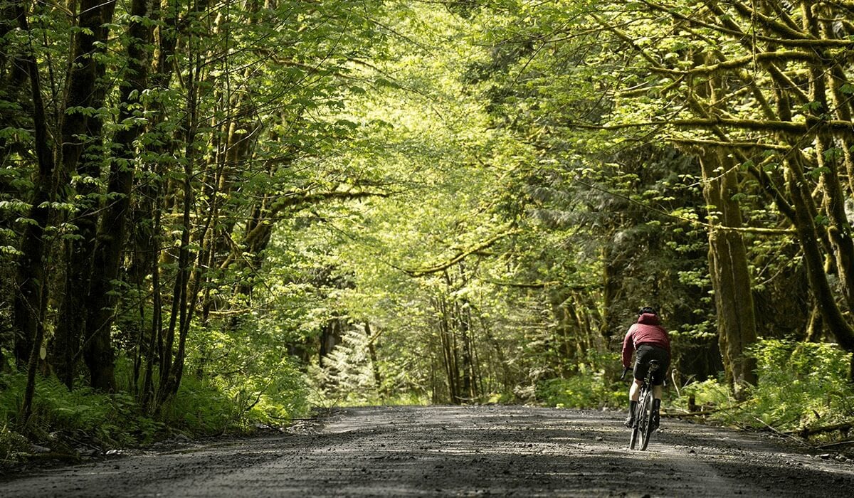 Chris is shown from behind as a bikes down a gravel path lined with trees.