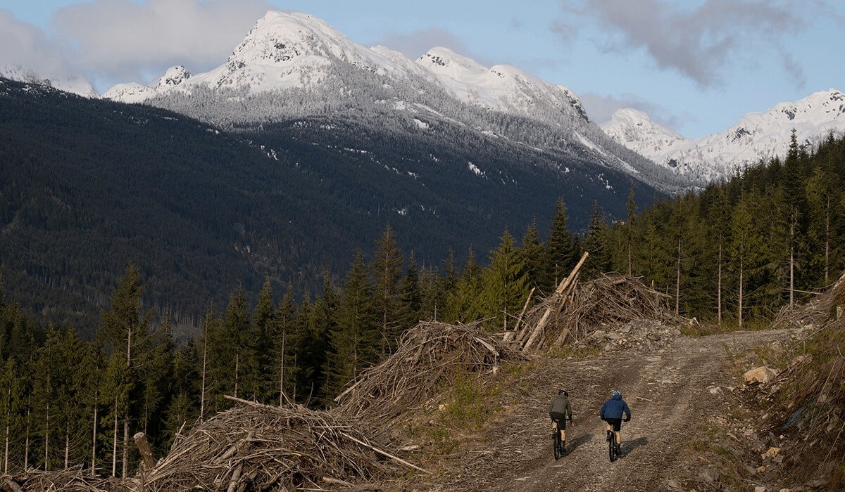 Cyclists bike up a small hill on a trail through the mountains with logging debris lining the trail