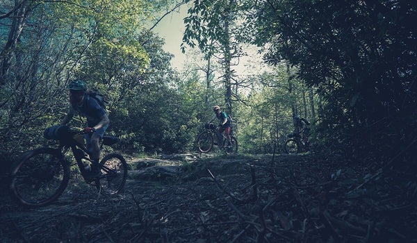 A group of three mountain bikers ride through a dimly lit wooded trail