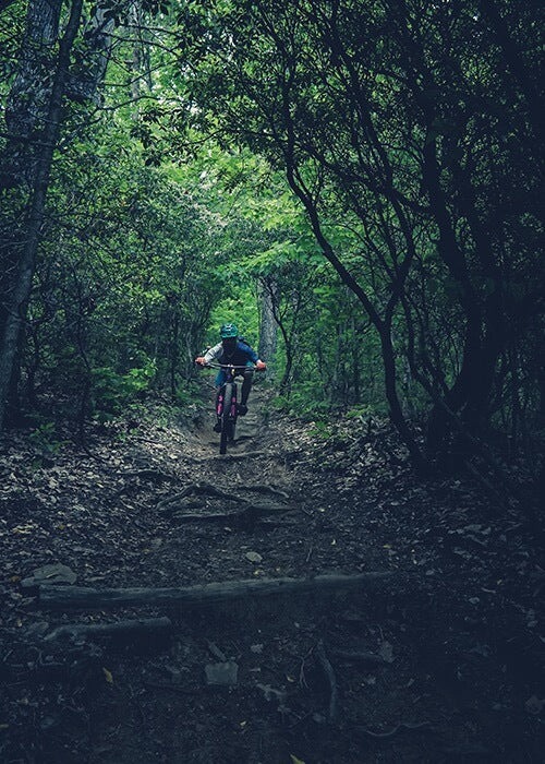 A mountain biker rides through a trail covered in roots and shaded by trees