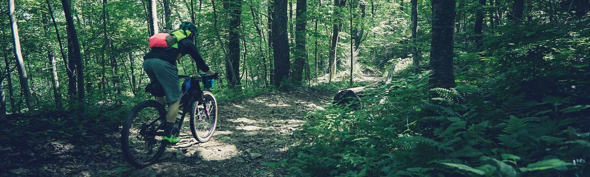 Matt Acker shown from behind rides his mountain bike on a wooded forest trail