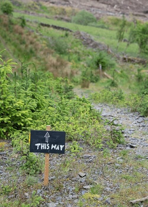 A small sign that says This Way is posted next to a rocky path