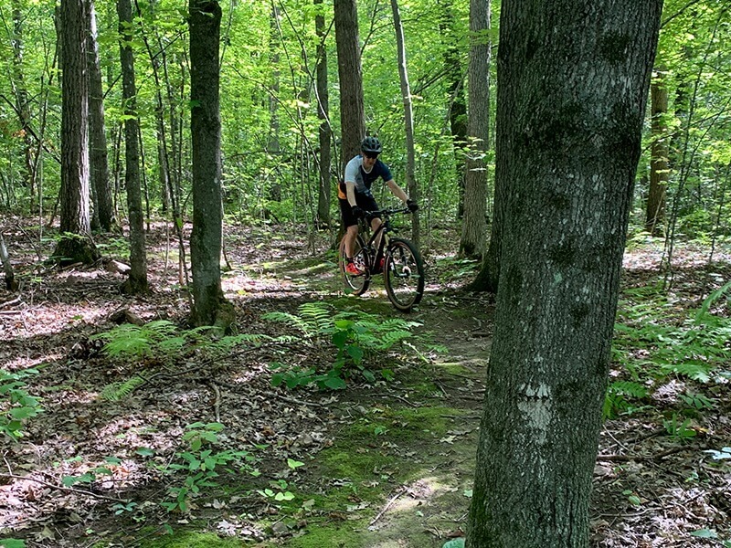 Paul is shown from a distance riding his mountain bike around a curve in the trail