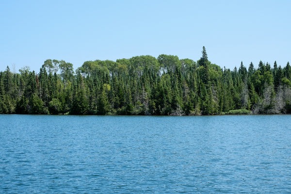 The tree lined shoreline is visible from the lake