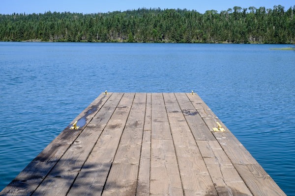 A wooden dock leads out to a lake