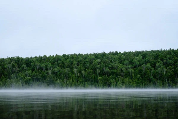 Low fog sits on top of still water on the lake's surface