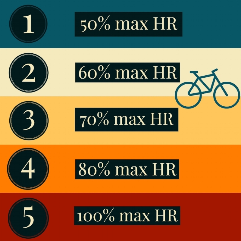 heart rate zones