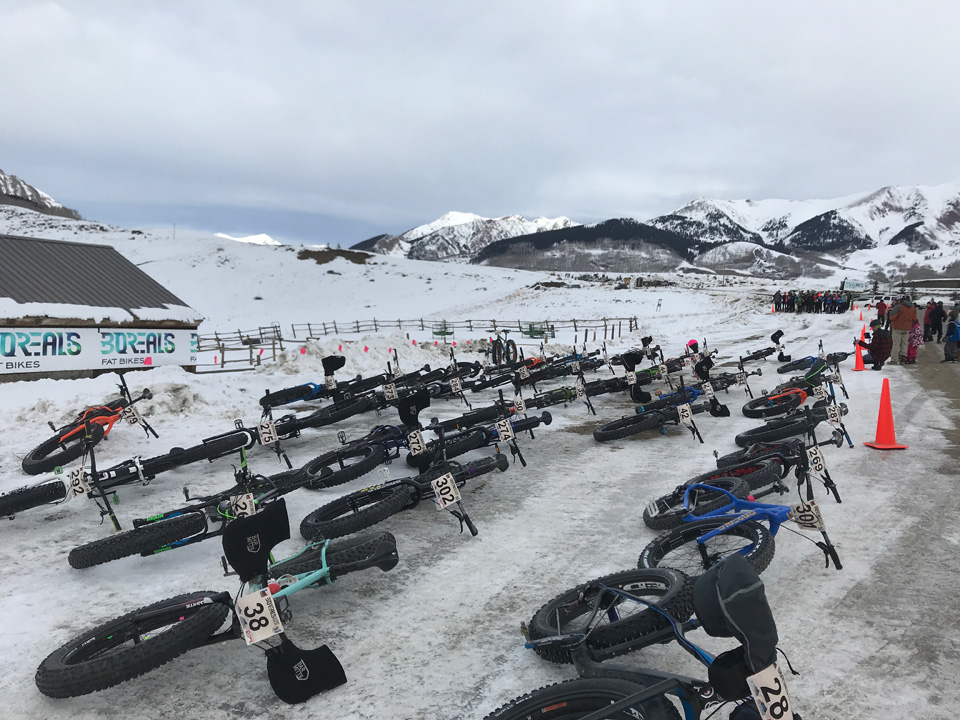 lots of fat bikes