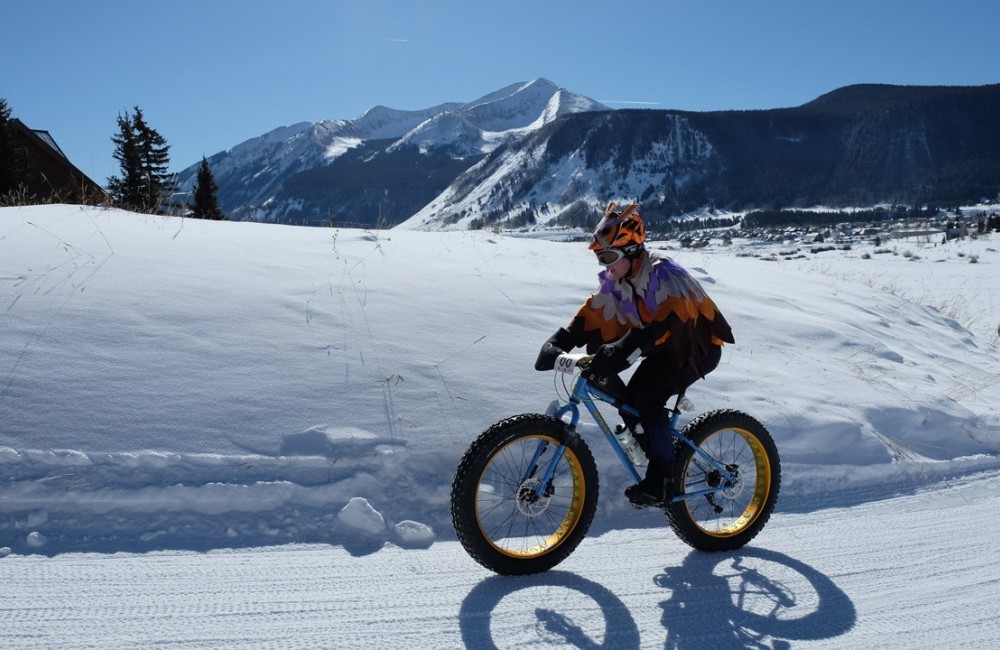 fat biker