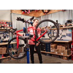 Greenstreet Cycles Tune Up: 2-Star 