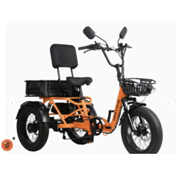 Trikes - E-Cycle Adventures | New Port Richey & Brooksville, FL